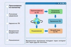 Интерактивные курсы. Информатика 10 класс . Базовый. - fgospostavki.ru - Омск