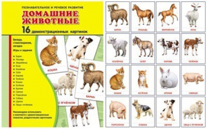 Демонстрационные карточки "Домашние животные" - fgospostavki.ru - Омск