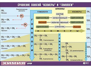 Таблица демонстрационная "Сравнение понятий изомер и гомолог" (винил 70x100) - fgospostavki.ru - Омск