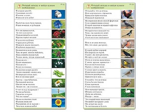Комплект карточек (10) "Обучающий калейдоскоп. Природа" - fgospostavki.ru - Омск