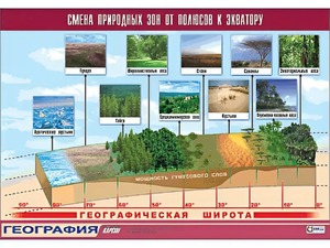 Таблица демонстрационная "Смена природных зон от полюсов к экватору" (винил 70*100) - fgospostavki.ru - Омск