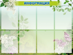 Стенд "Информация" Вариант 13 - fgospostavki.ru - Омск