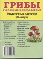 Раздаточные карточки "Грибы съедобные и не съедобные" - fgospostavki.ru - Омск