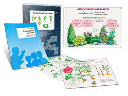 Комплект кодотранспарантов "Культурные растения" - fgospostavki.ru - Омск