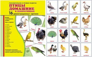 Демонстрационные карточки "Птицы домашние и декоративные" - fgospostavki.ru - Омск