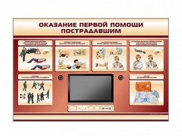 Многофункциональный интерактивный стенд-тренажер "Оказание первой помощи пострадавшим" для учащихся общеобразовательных учреждений - fgospostavki.ru - Омск