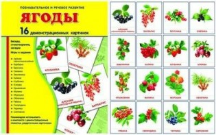 Демонстрационные карточки "Ягоды" - fgospostavki.ru - Омск