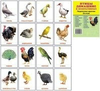 Раздаточные карточки "Птицы домашние и декоративные" - fgospostavki.ru - Омск