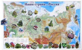 Магнитные карточки "Растения" - fgospostavki.ru - Омск
