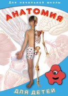 DVD "Анатомия для детей" - fgospostavki.ru - Омск