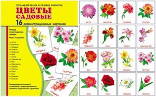 Демонстрационные карточки "Цветы садовые" - fgospostavki.ru - Омск