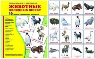 Демонстрационные карточки "Животные холодных широт" - fgospostavki.ru - Омск