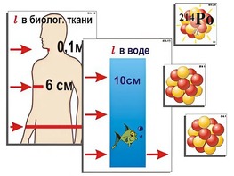 Модель-аппликация "Явление радиоактивности" (ламинированная) - fgospostavki.ru - Омск