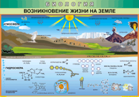 Таблица "Возникновение жизни на земле" (100х140 сантиметров, винил) - fgospostavki.ru - Омск