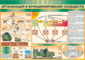 Таблица "Организация и функционирование сообществ" (100х140 сантиметров, винил) - fgospostavki.ru - Омск