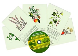 Интерактивный наглядный комплекс "Гербарий "Для начальной школы" - fgospostavki.ru - Омск