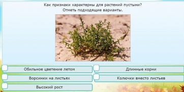 Интерактивные курсы. Окружающий мир 3 класс . Базовый. - fgospostavki.ru - Омск