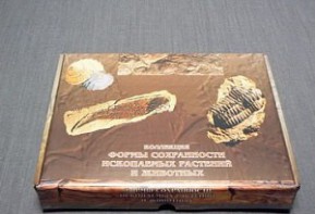 Коллекция "Формы сохранности ископаемых растений и животных" - fgospostavki.ru - Омск
