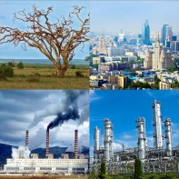 Модель-аппликация Биосфера и человек - fgospostavki.ru - Омск