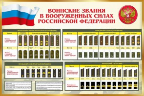 Стенд "Воинские звания в вооруженных силах РФ" - fgospostavki.ru - Омск