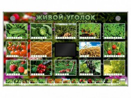 Комплект оборудования "Живой уголок" (растения) - fgospostavki.ru - Омск
